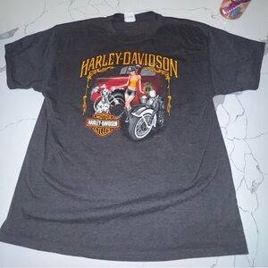 Vintage Harley-Davidson Gray Graphic T-Shirt for Men